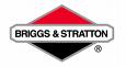 Briggs & Stratton